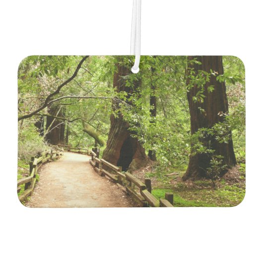 ミューア・ウッズ・パスII自然写真 カーエアーフレッシュナー (裏面)