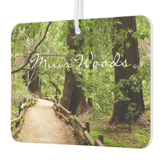 ミューア・ウッズ・パスII自然写真 カーエアーフレッシュナー (左)