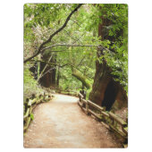 ミューア・ウッズ・パスII自然写真 クリップボード (裏面)