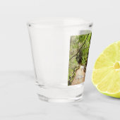 ミューア・ウッズ・パスII自然写真 ショットグラス (左)