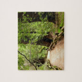 ミューア・ウッズ・パスII自然写真 ジグソーパズル (縦)