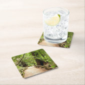 ミューア・ウッズ・パスII自然写真 スクエアペーパーコースター (インサイチュ)