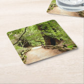 ミューア・ウッズ・パスII自然写真 スクエアペーパーコースター (アングル)