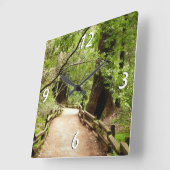 ミューア・ウッズ・パスII自然写真 スクエア壁時計 (傾斜)