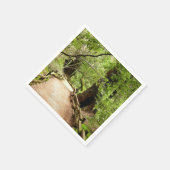 ミューア・ウッズ・パスII自然写真 スタンダードカクテルナプキン (角)