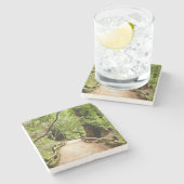 ミューア・ウッズ・パスII自然写真 ストーンコースター (横)