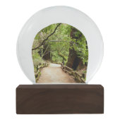 ミューア・ウッズ・パスII自然写真 スノーグローブ (裏面)