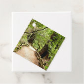 ミューア・ウッズ・パスII自然写真 フェイバータグ (インサイチュ)