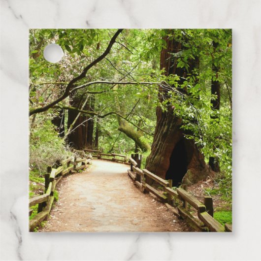 ミューア・ウッズ・パスII自然写真 フェイバータグ (正面)