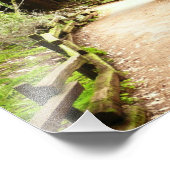 ミューア・ウッズ・パスII自然写真 フォトプリント            (角)