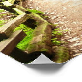 ミューア・ウッズ・パスII自然写真 ポスター (角)