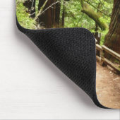 ミューア・ウッズ・パスII自然写真 マウスパッド (コーナー)