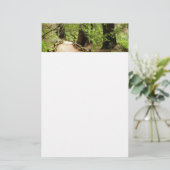 ミューア・ウッズ・パスII自然写真 便箋 (スタンド正面)