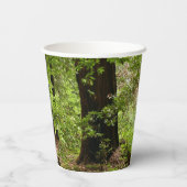 ミューア・ウッズ・パスII自然写真 紙コップ (裏面)