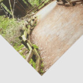 ミューア・ウッズ・パスII自然写真 薄葉紙 (詳細)