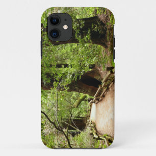 ミューア・ウッズ・パスII自然写真 iPhone 11 ケース