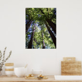 ミューア・ウッズ ポスター (キッチン)