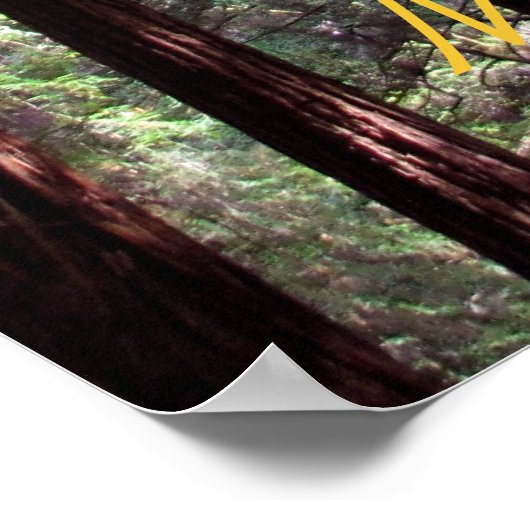 ミューア・ウッズ ポスター (角)