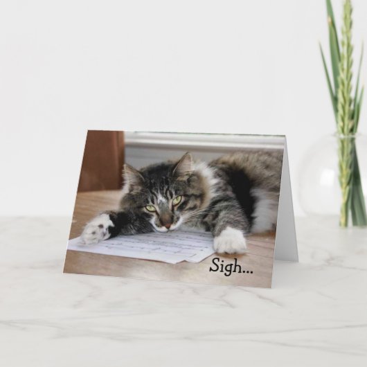 ミュージカルネコ誕生日ソング誕生日カード カード (正面)