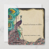 ミュージカル孔雀バードケージナス日付を保存 セーブザデート (裏面)