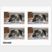 ミュージカル猫ハグスタンプ 長方形シール (シート)