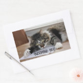 ミュージカル猫ハグスタンプ 長方形シール (封筒)