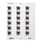 ミュージカル猫住所 シール (フルシート)