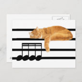 ミュージカル虎猫猫 ポストカード (正面/裏面)