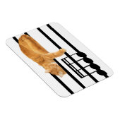 ミュージカル虎猫猫 マグネット (右側)