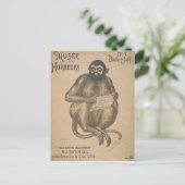 ミュージーデホレウルズローデントマンヴィンテージ ポストカード (スタンド正面)