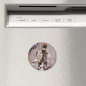 ミューズ磁石#1 マグネット (インサイチュ (食洗機))