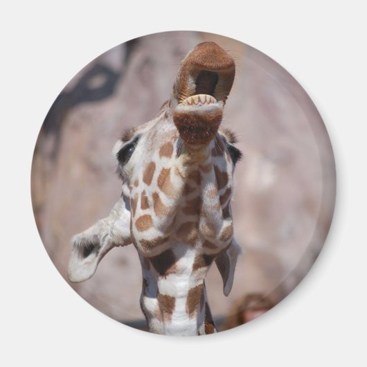 ミューズ磁石#1 マグネット (正面)