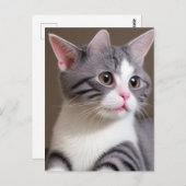 ミュータントキットン ポストカード (正面/裏面)