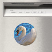 ミュートのスワンプロファイル マグネット (インサイチュ (食洗機))