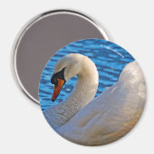 ミュートのスワンプロファイル マグネット (正面/裏面)