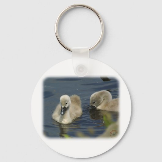 ミュートSwan Cygnets 9R054D-114 キーホルダー (正面)