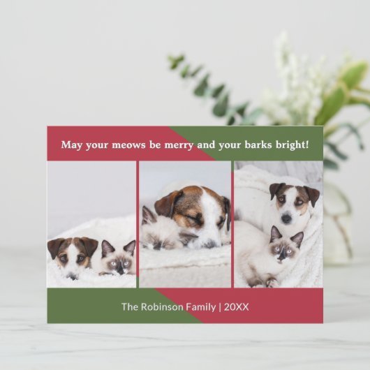 ミューメリーズおもしろい犬猫フォトクリスマス シーズンカード (スタンド正面)