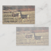 ミュールシカ 名刺 (正面/裏面)