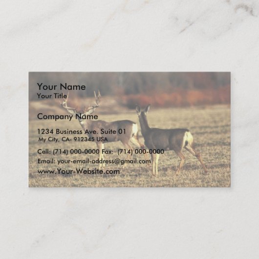 ミュールシカ 名刺 (正面)