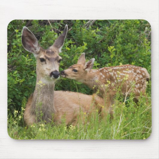 ミュールジカのメスと子鹿 マウスパッド (正面)