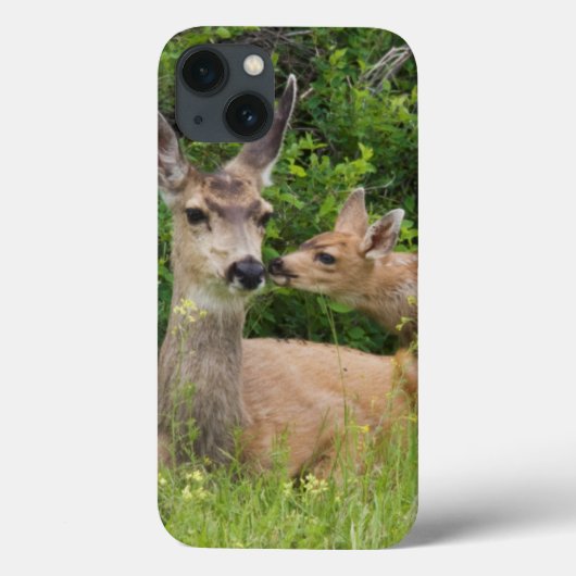 ミュールジカのメスと子鹿 Case-Mate iPhoneケース (裏面)