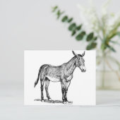 ミュールスケッチ、頑固 ポストカード (スタンド正面)