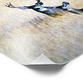 ミュールディアバック&ドードデジタルファインアートプリント フォトプリント            (角)