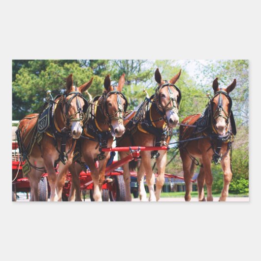 ミューレ日 長方形シール (正面)