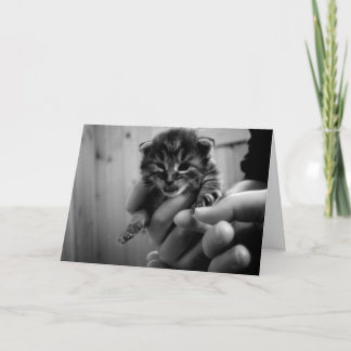 ミュー考えの！ カード