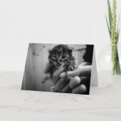 ミュー考えの！ カード (正面)