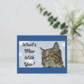 ミュー・キャットとは ポストカード (スタンド正面)