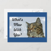 ミュー・キャットとは ポストカード (正面/裏面)