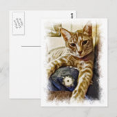 ミユキャットアート ポストカード (正面/裏面)