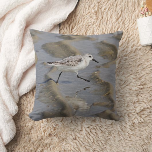 ミユビシギ クッション (ブランケット)